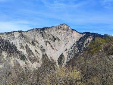 Retour aux fondamentaux 