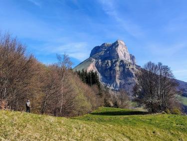 Retour aux fondamentaux 