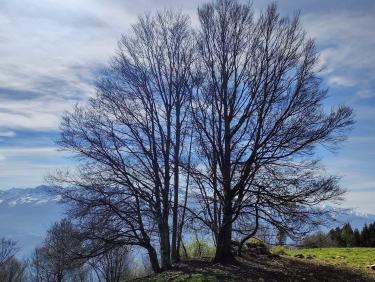Retour aux fondamentaux 
