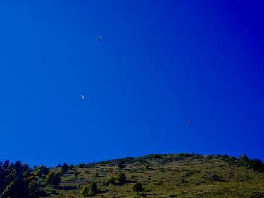 Ribambelle de voiles sur Pravouta