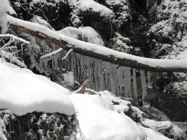 Ruisseau pudique (derriÃ¨re son rideau de glace)