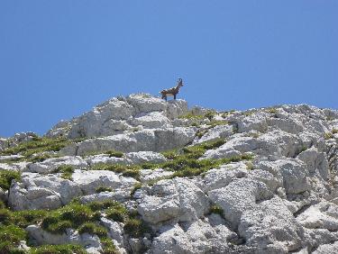 circuit col vert pas de l&apos;oeille et col des deux Soeurs