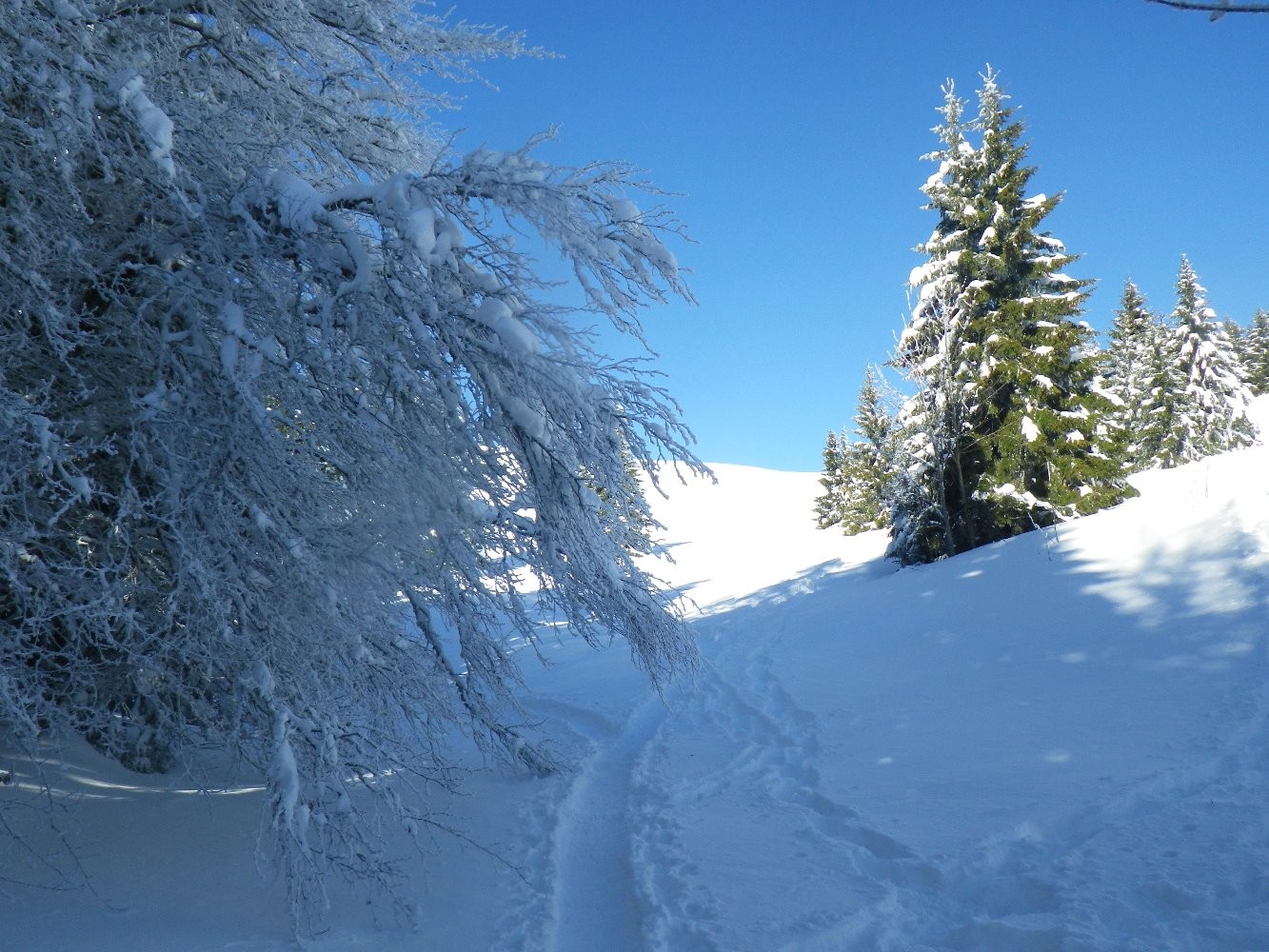 Vers la Dent du Loup