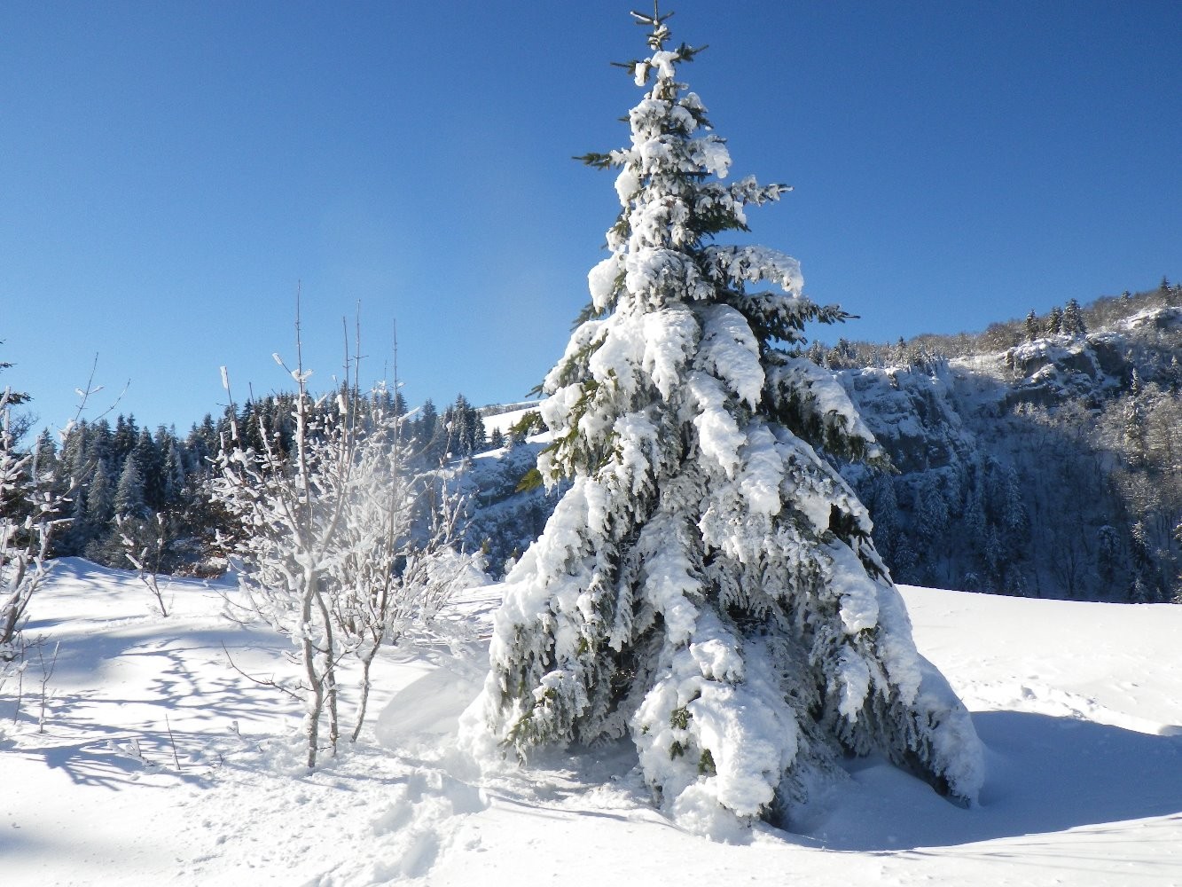 Dent du Loup