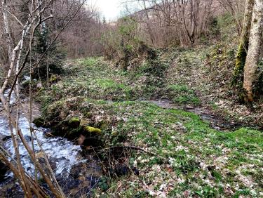 Rive droite, après le passage du gué