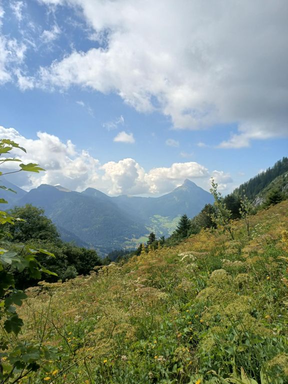 Randonnée au Grand Som