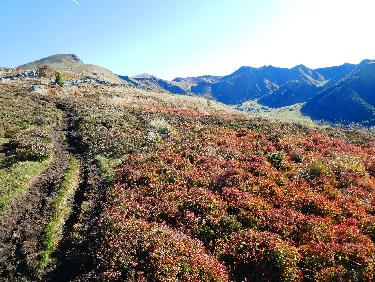 Roc de Cuzeau et Puy de Sancy