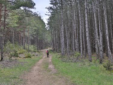 Rocher de Capluc, Sentier Brunet et Balcon du vertige