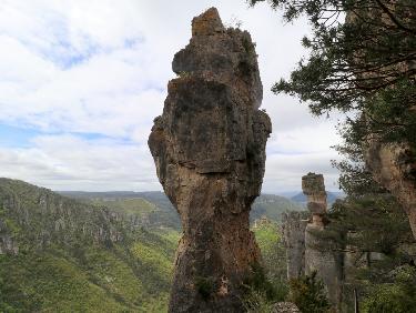 Vase de Chine et Vase de SÃ¨vres