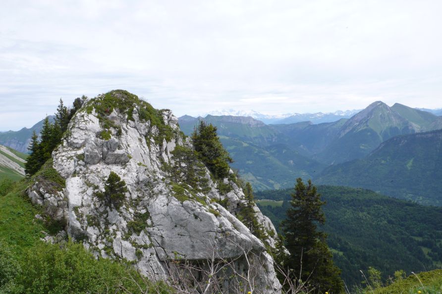 rocher à la descente