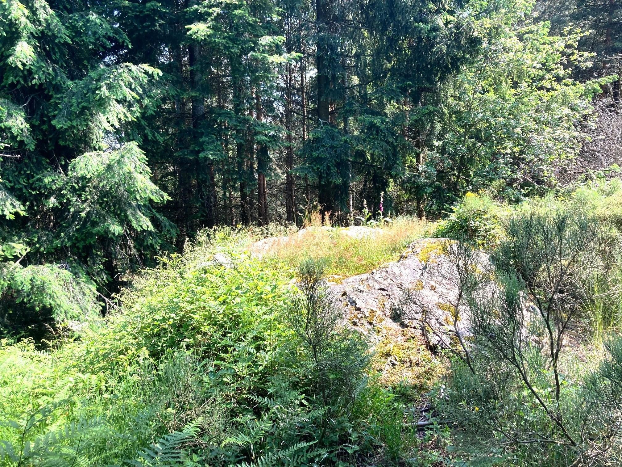 Rocher sommital du Frioul