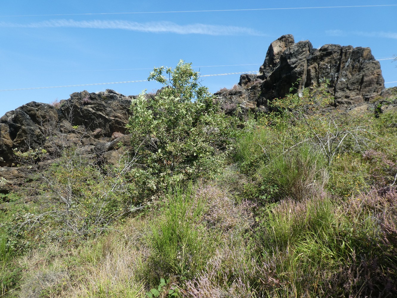 Rochers sommitaux