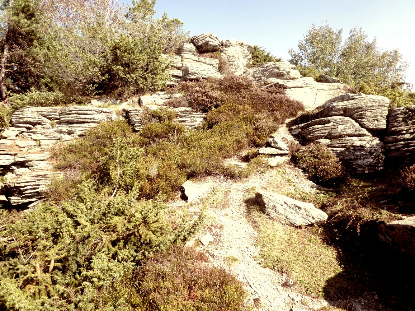 Rochers sous le sommet, cÃ´tÃ© ouest