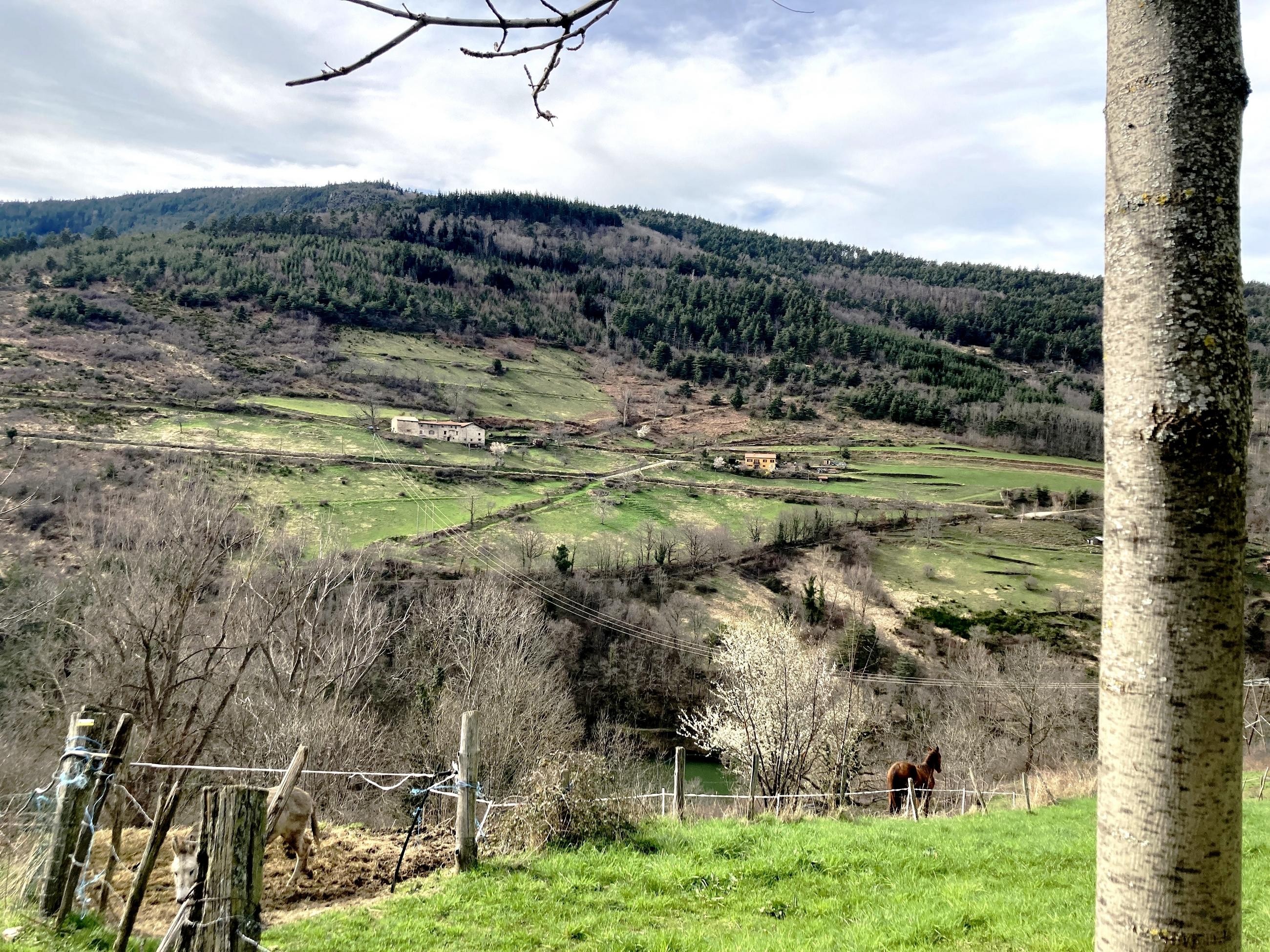 Roches de la Rivoire en face