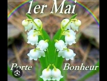 rochet du bout du monde