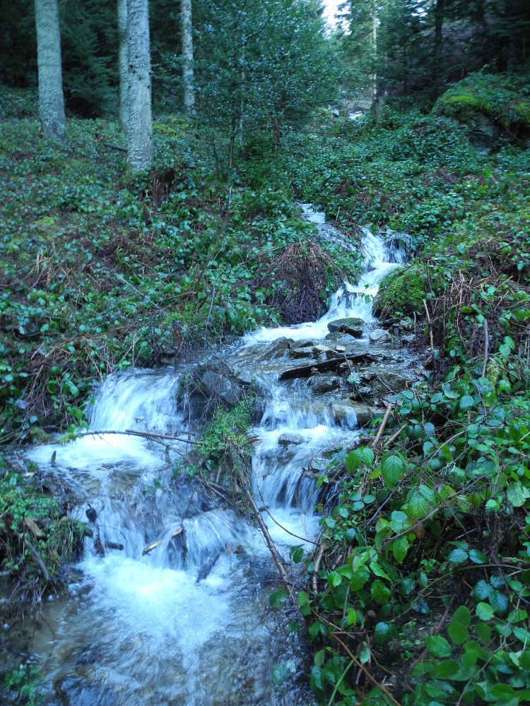 Ruisseau du Bois du Boeuf