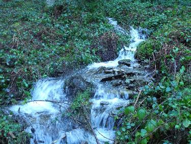 Ruisseau du Bois du Boeuf