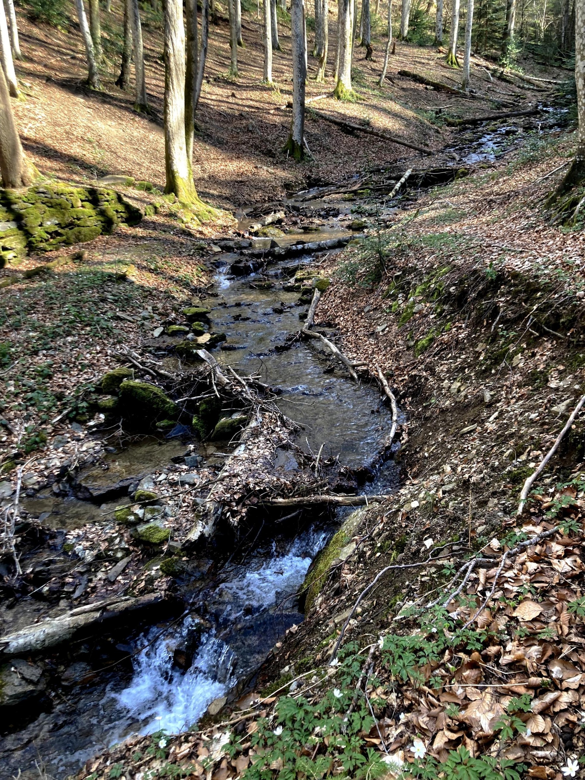 Ruisseau de Quatre Aigues