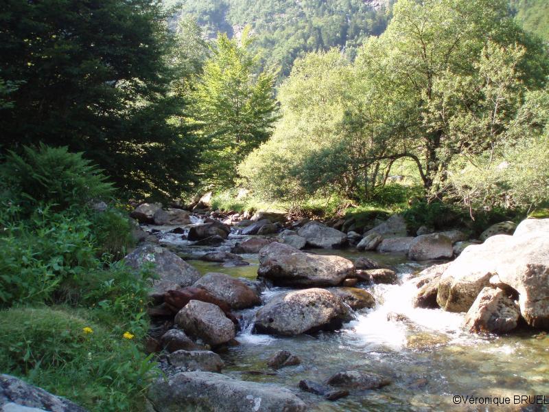 ruisseau de la Hillette