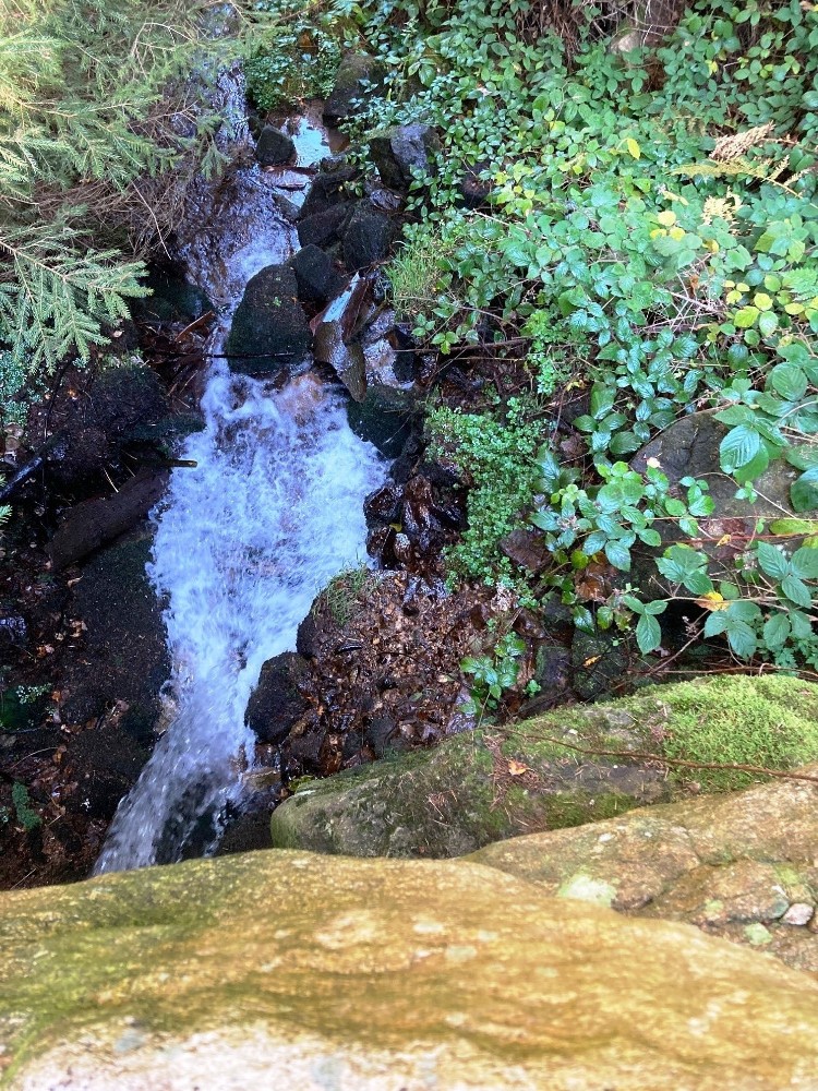 Ruisseau de la Fare depuis le premier pont