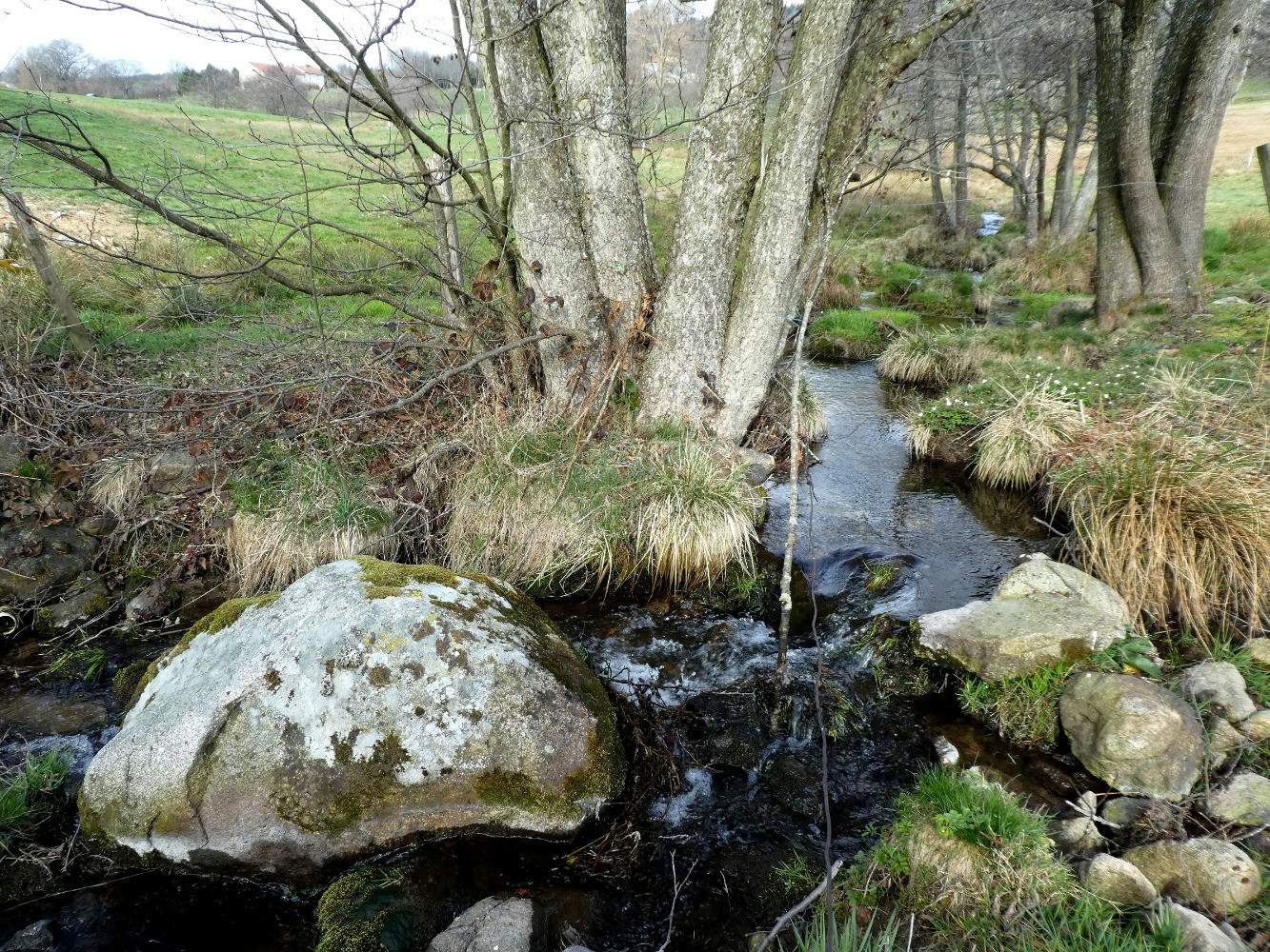 ruisselet au nord du plateau