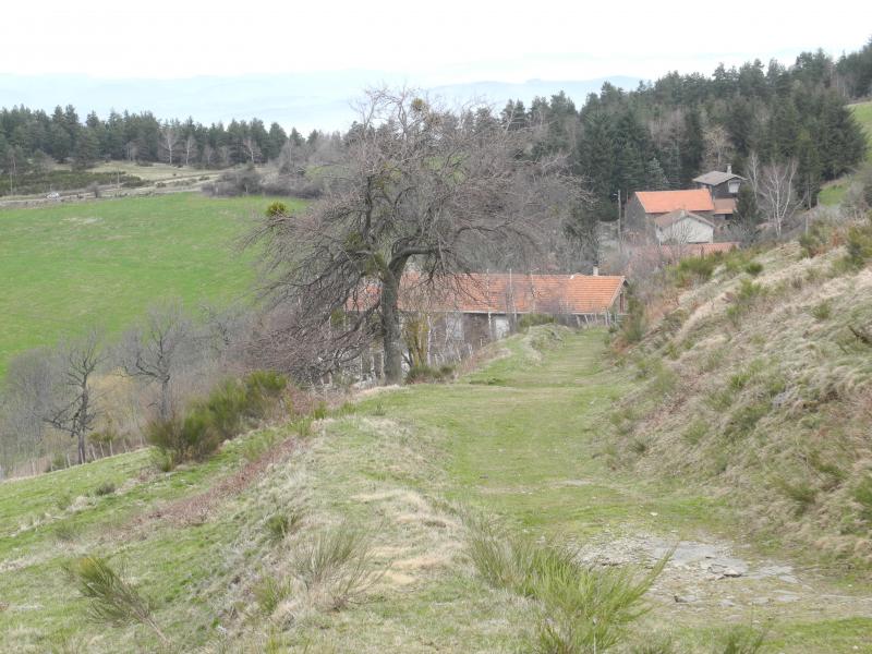 Descente sur Salvaris