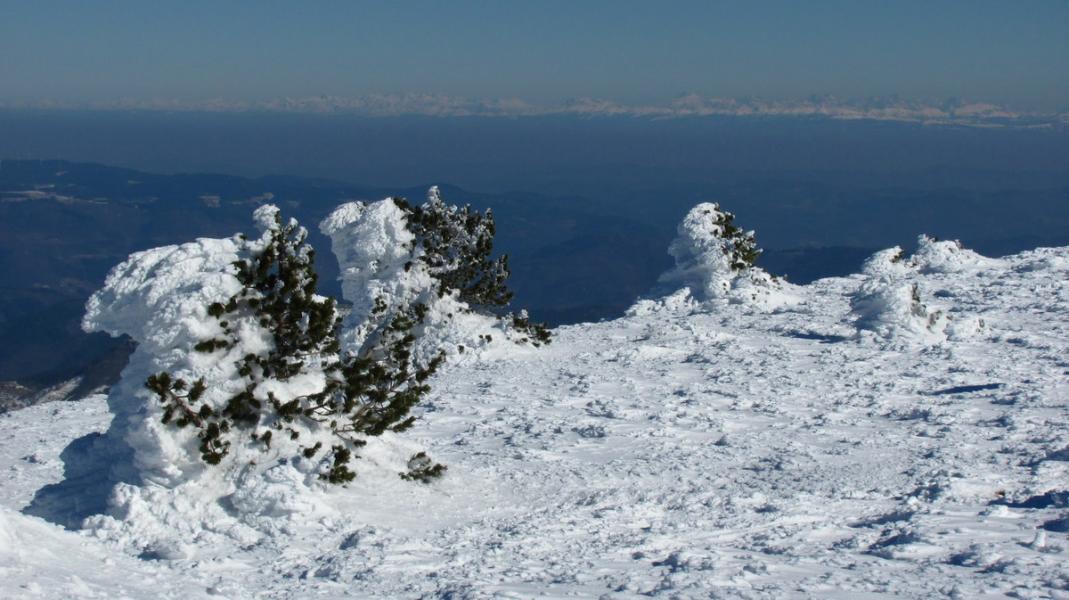 Sculptures au Mezenc