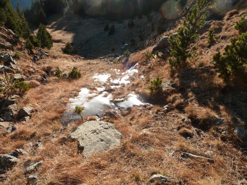 Sentier couvert de glace vitreuse