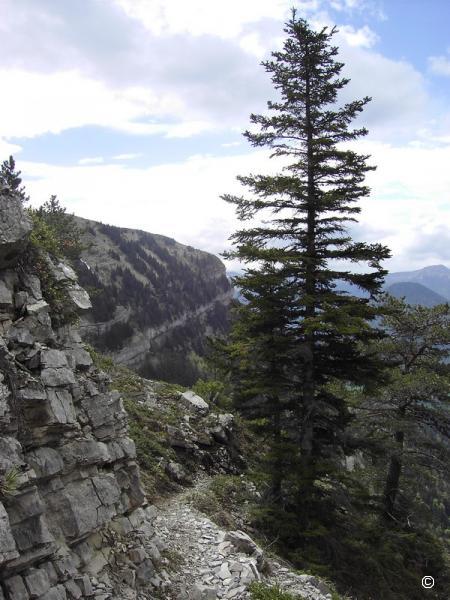 Sentier de l'Hirondelle.