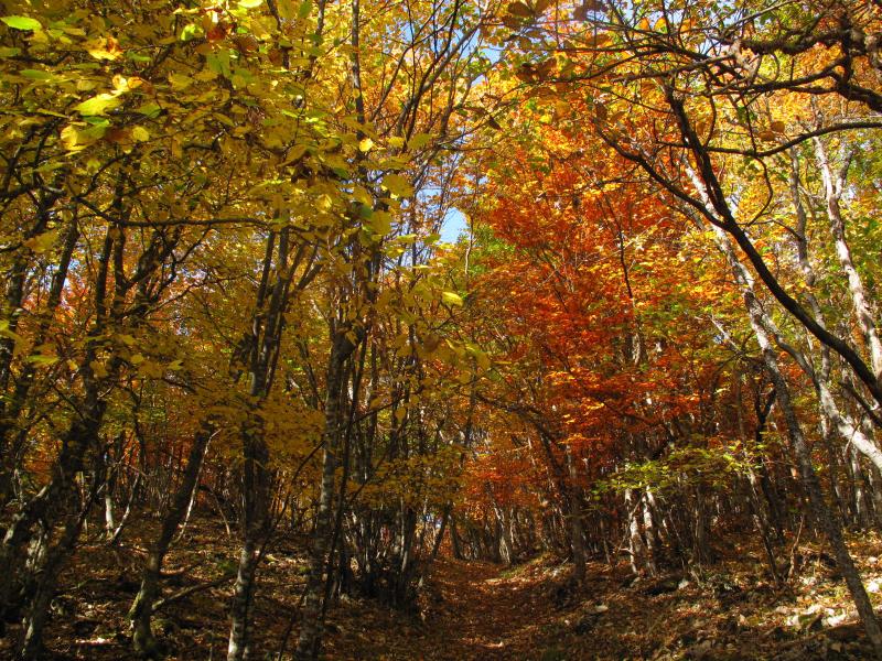 Sentier de la Combe Noire