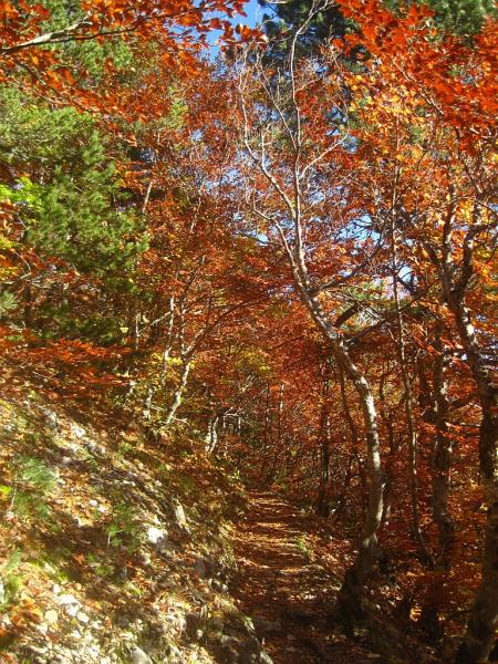 Sentier des Bachassons