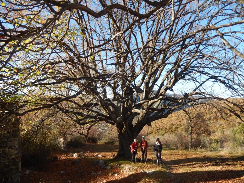 Sentier des Oreilles d'Ane