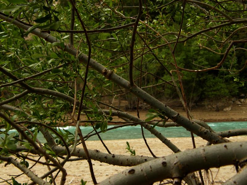 Sentier des Pêcheurs (Verdon)