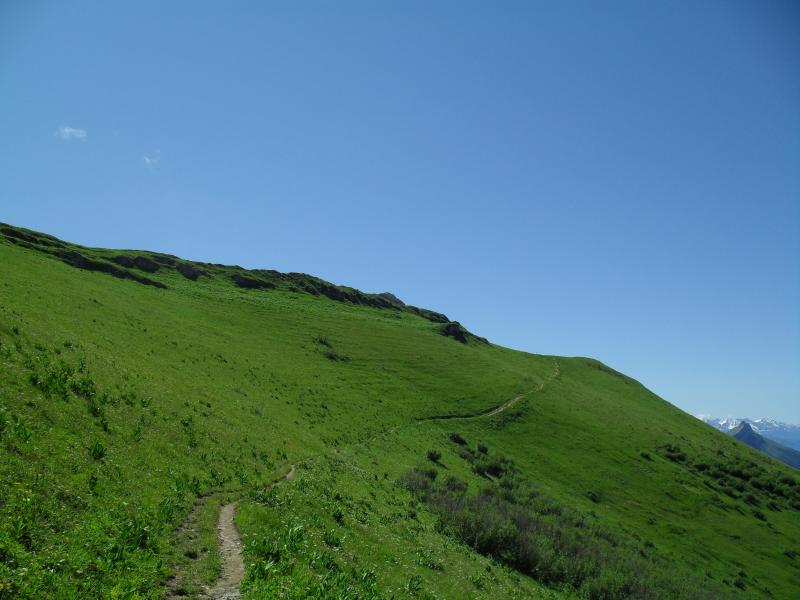 Sentier reposant