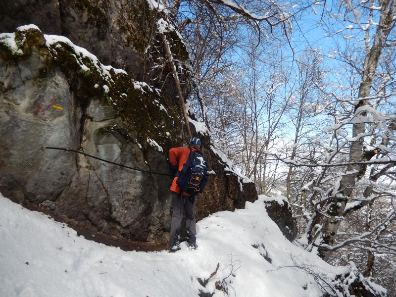 Sentier vers la Source du Jas