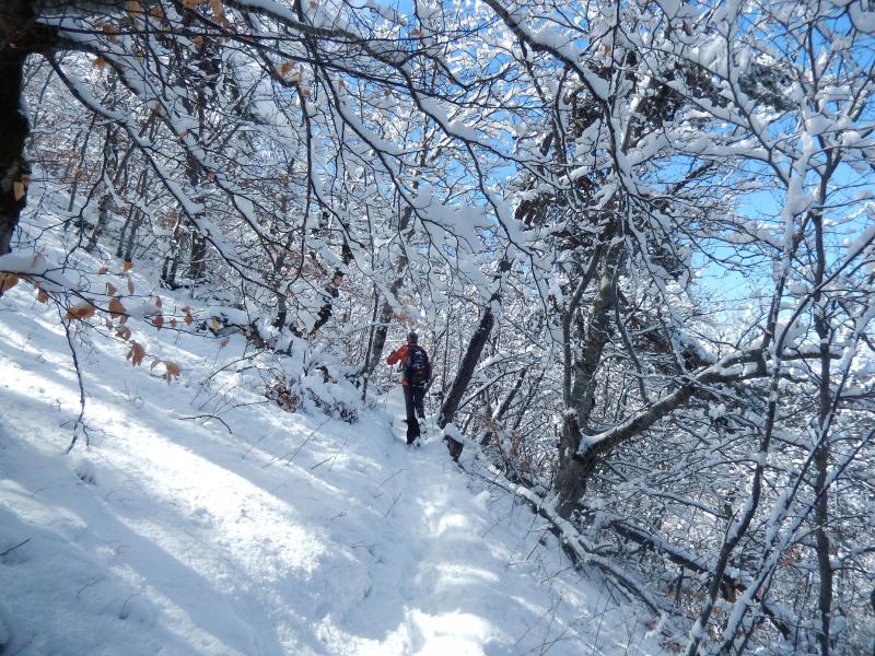 Sentier vers la Source du Jas