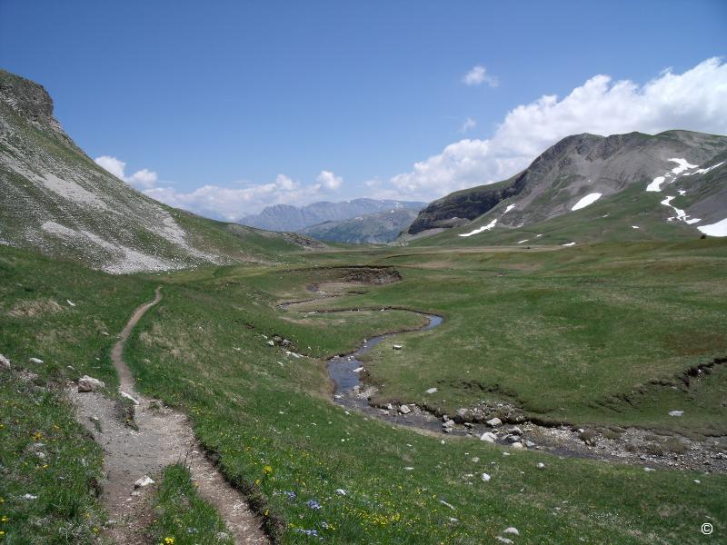 Serpantin