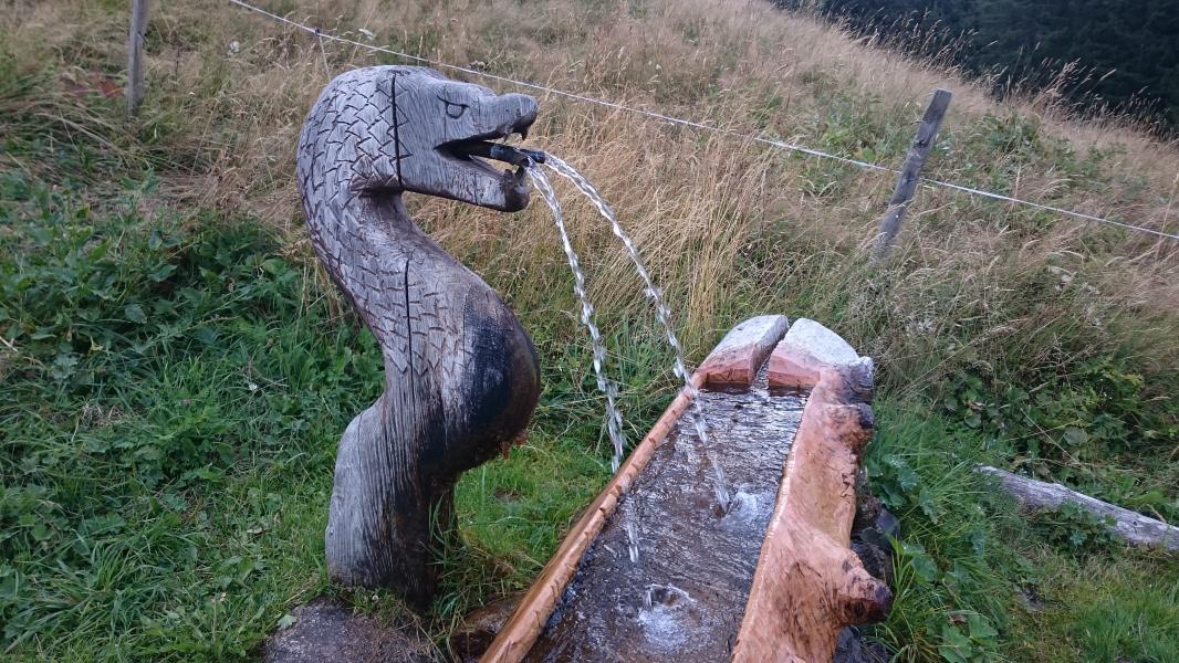 Serpent