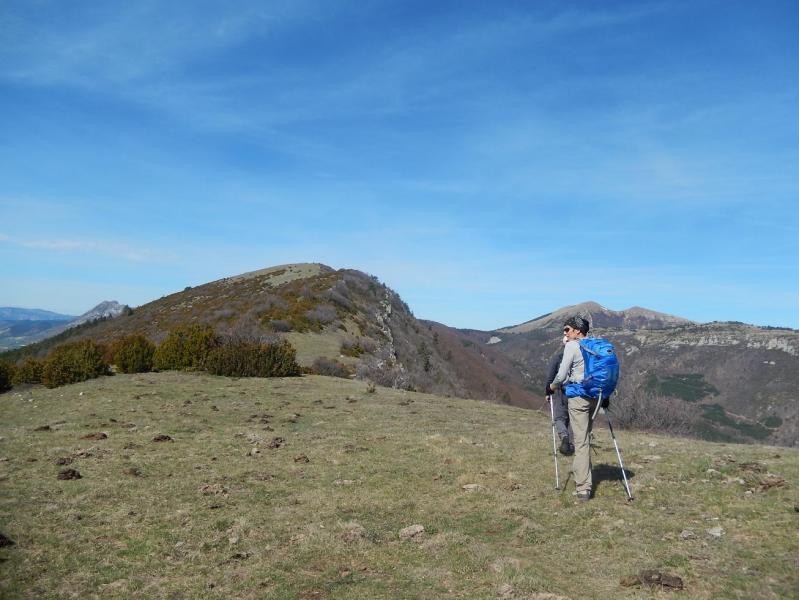 Serre de la Bouisse
