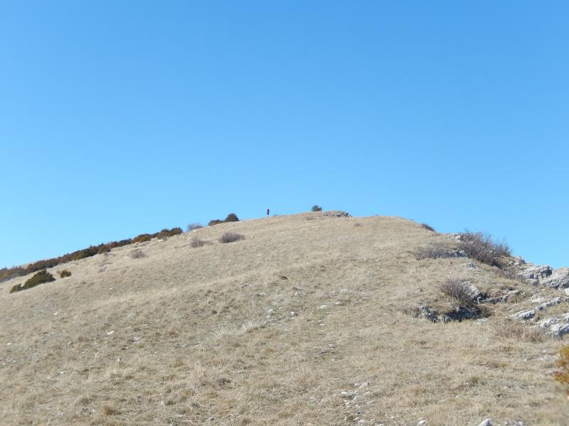 Serre de la Bouisse