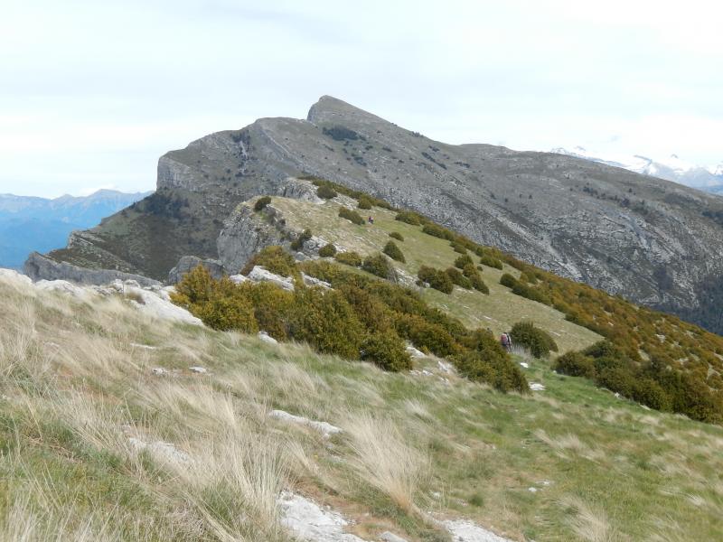 Sommet de Couard