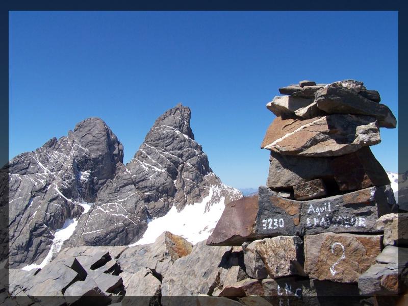 Sommet de l'épaisseur et les aiguilles