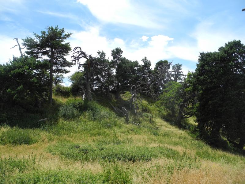 Sommet de la Croix