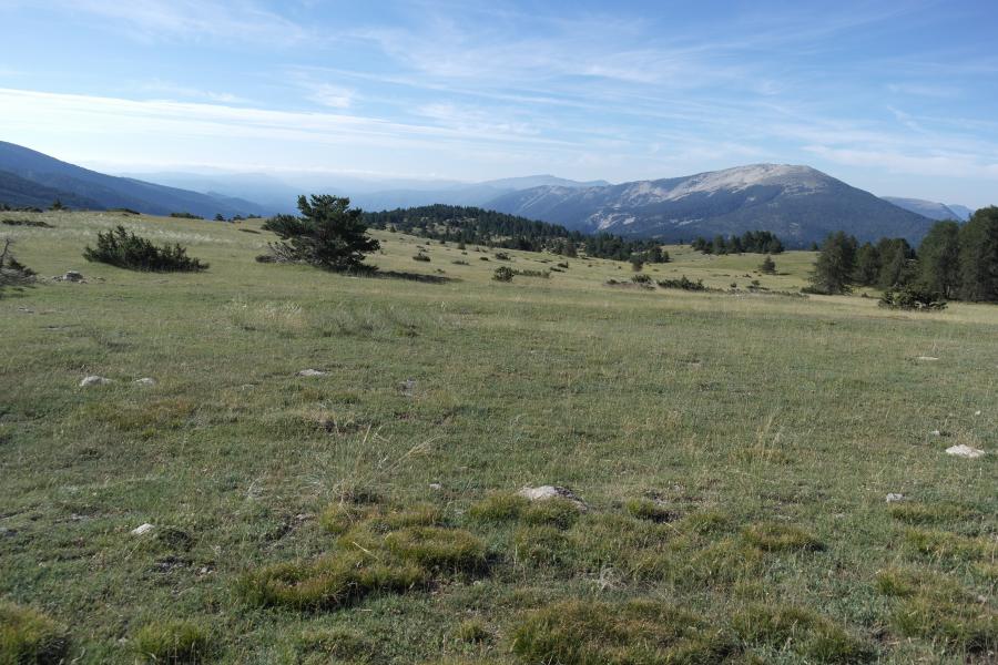 Sommet du plateau de Champlatte.