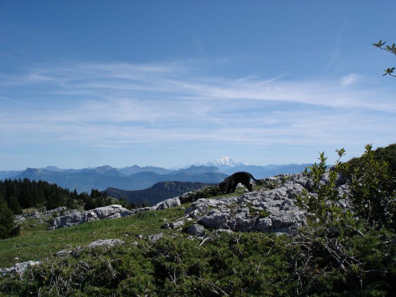 Sommet ed l'Outheran