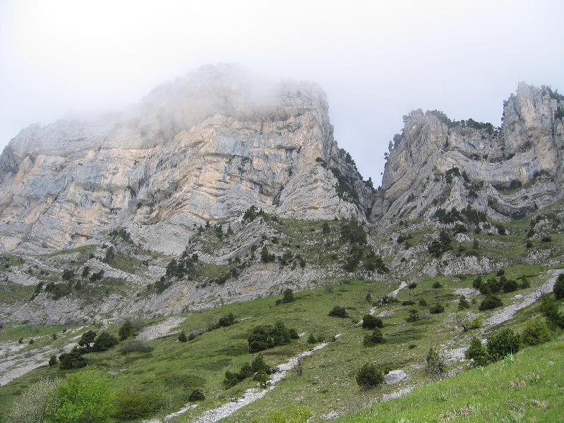 Sortie de forêt
