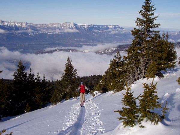 Sortie de la forêt