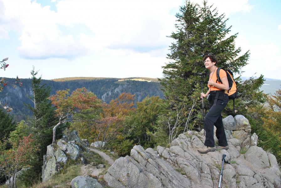 Sortie du sentier Dagobert