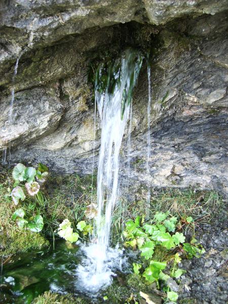 Source