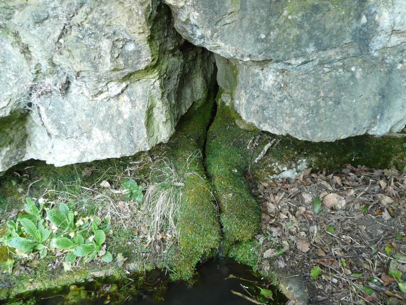 Source pure et profonde